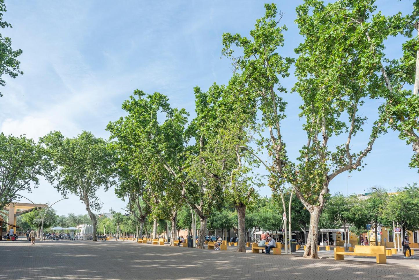 Alohamundi Lumbreras IV Daire Sevilla Dış mekan fotoğraf